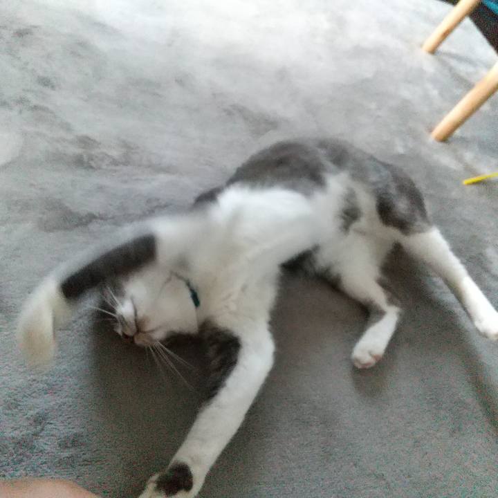 0a6cd030 45c3 41dd bb1c 9e1221938611 1597447437027