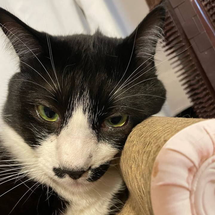 0a6cd238 41e1 47b8 81c7 1a79ee82e5b9 1673443702293