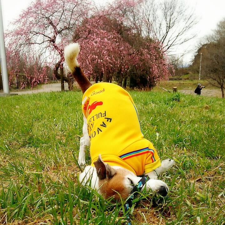 0a6cdac9 2416 44a7 8999 06cf51a90f0c 1520062677379