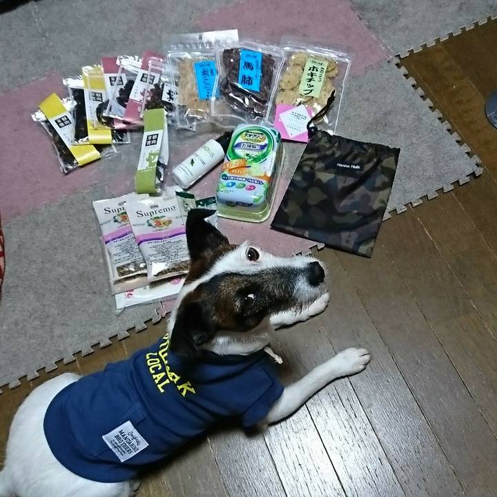 0a6d0a43 8d23 4304 a797 32982a52b542 1522592562185