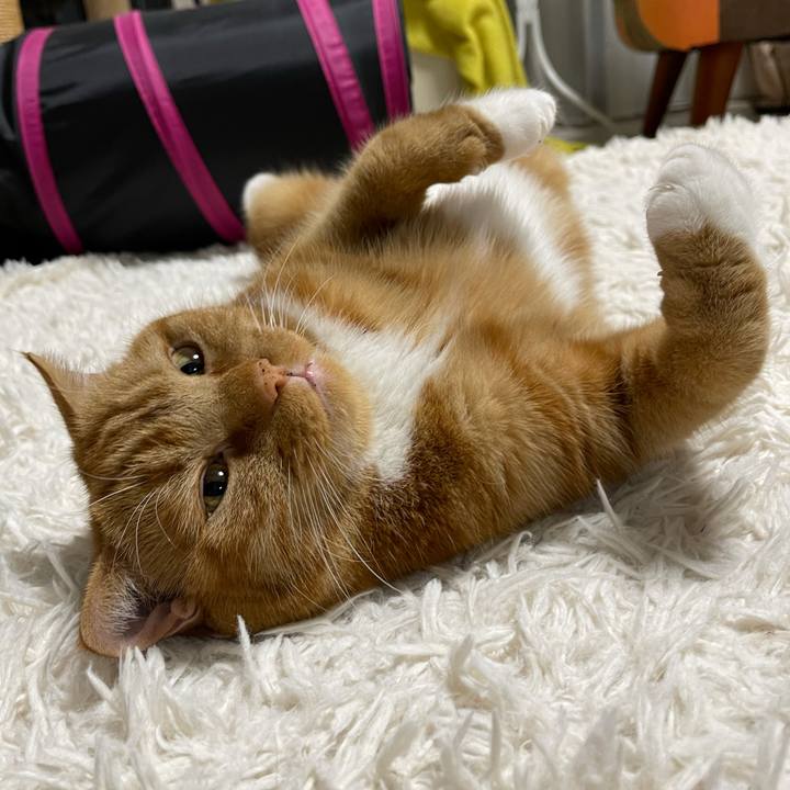 0a6d312a 5234 45ba 8a3e 946609b88c36 1624715191435