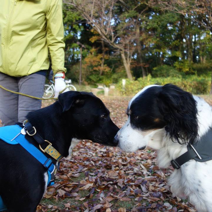 0a6d668f c467 469f 8de1 76b485b63b89 1606003162518