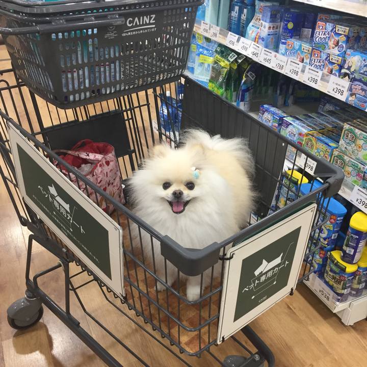 0a6db3f5 4eb9 4fa7 8279 bc8e98e55dec 1594019573579