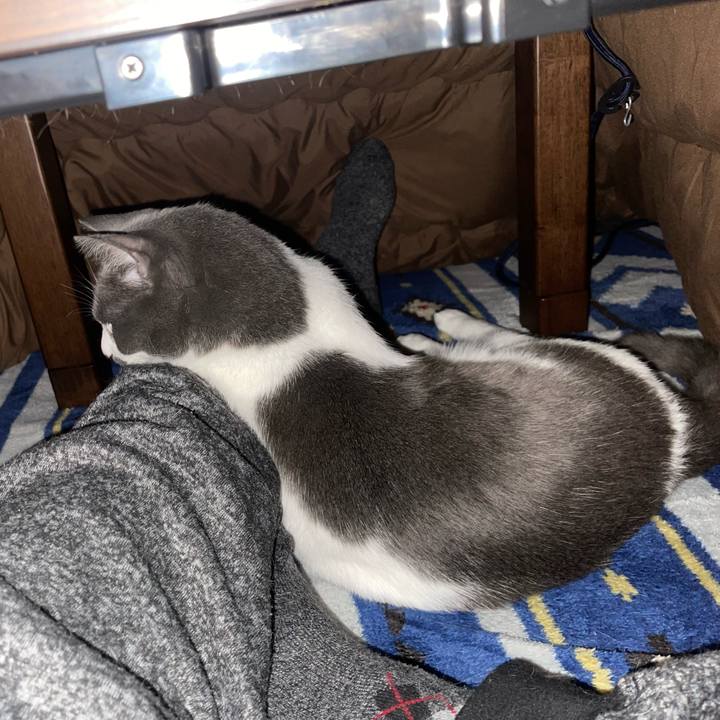 0a6dcc3d 92d9 4ae0 89e8 2691dcf83af5 1672396765281