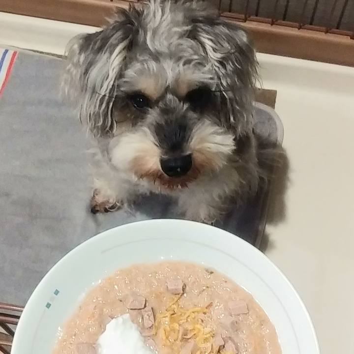 0a6dd5af 8303 4f65 8ee2 d6277d8c2c99 1667862449504