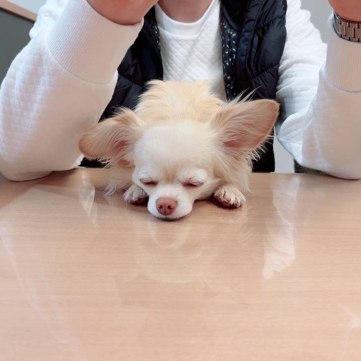 0a6dd797 44c6 4b59 8e7c 724913aefb09 1709472771999