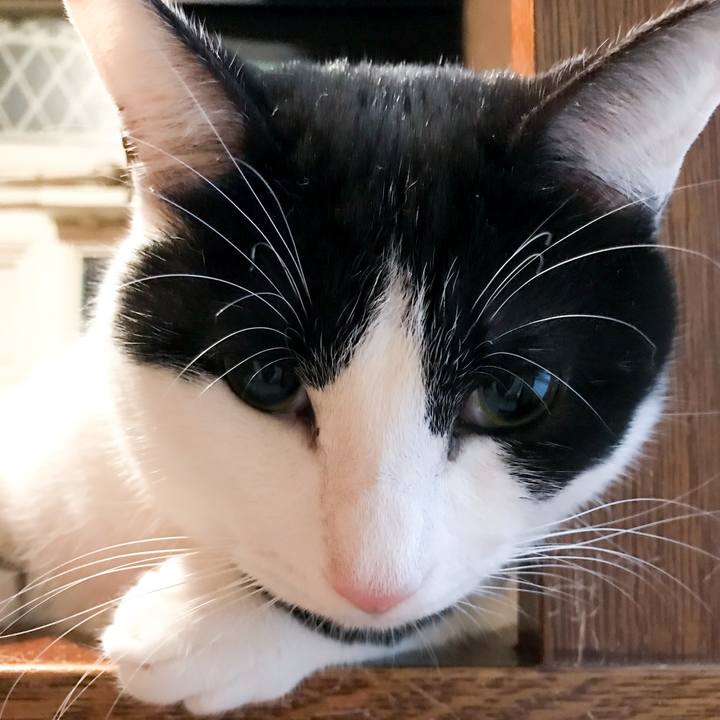 0a6e270c efff 42e9 8f0d f20a08c47dd3 1517928399680