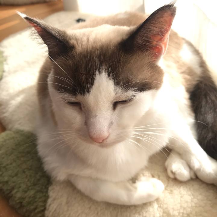 0a6e4160 e23e 45b8 aa94 fa249a5e9792 1608634175475