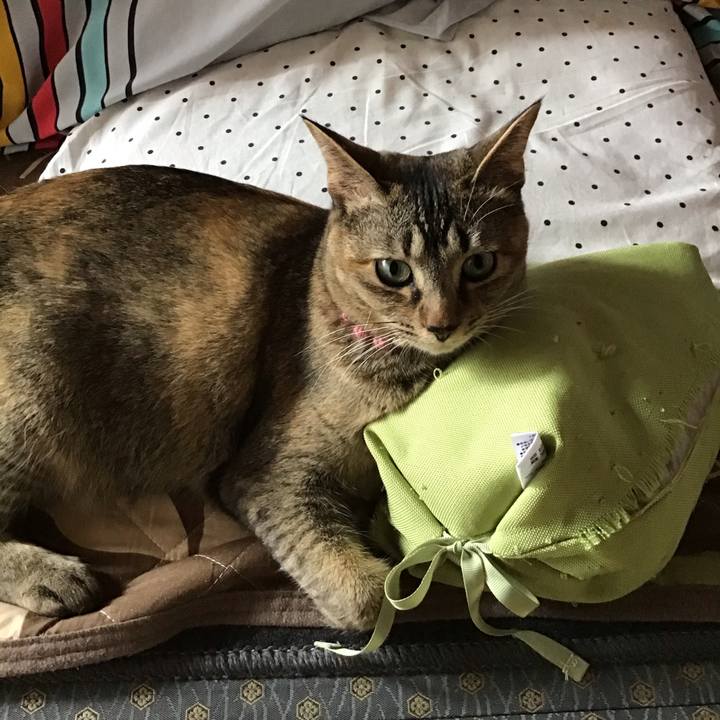 0a6e4473 a320 4c28 bd46 32e9b979e350 1588551314093