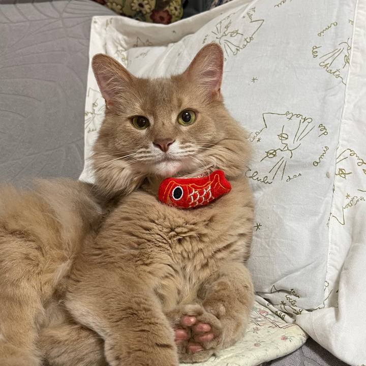 0a6e49b9 b010 469a 93eb 41807b715eef 1746435748483