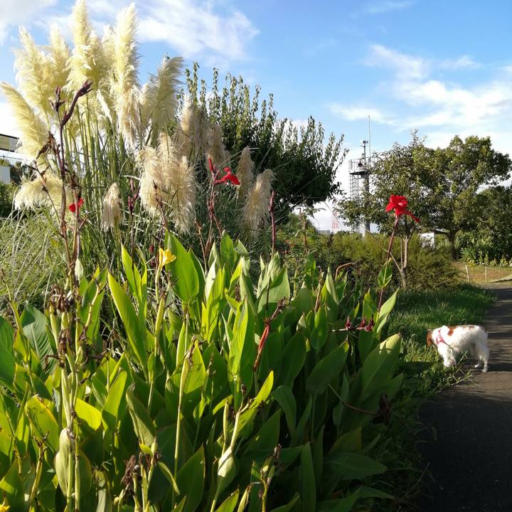 0a6e55d1 34d5 458d a121 657620d59c7c 1599477288482