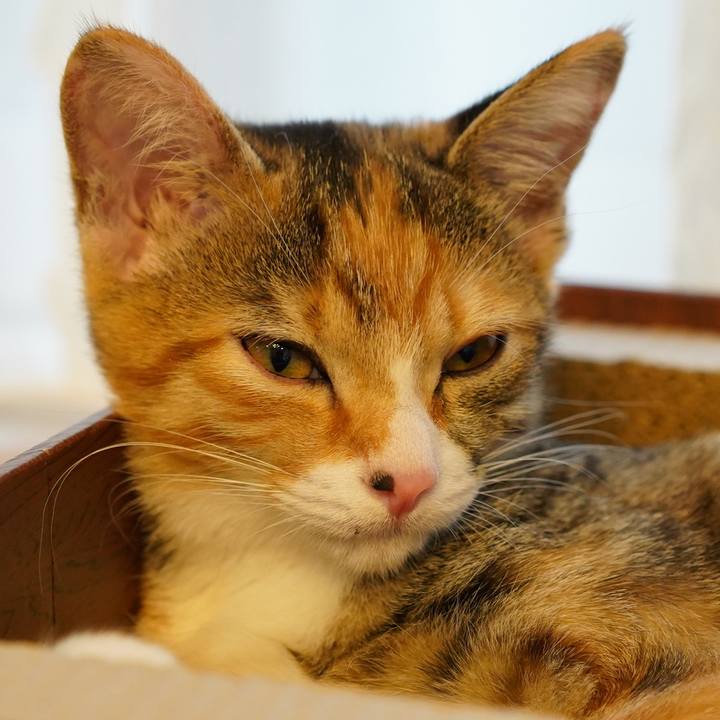 0a6e84d2 883a 4fd5 8568 2d43925591b9 1570861633103