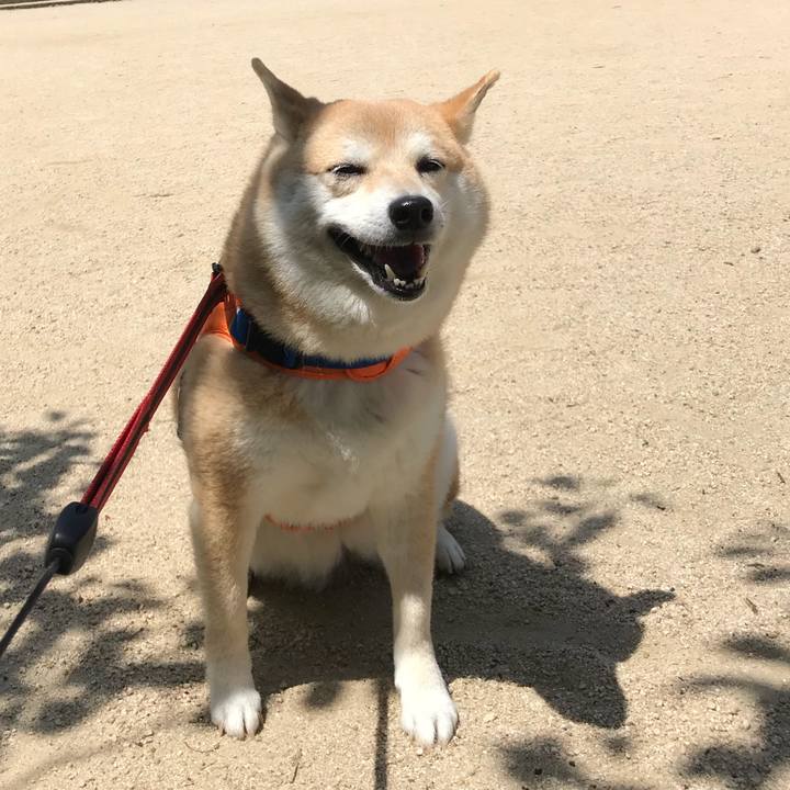 0a6e9865 1000 475b 9750 8da07f51874b 1526102807408