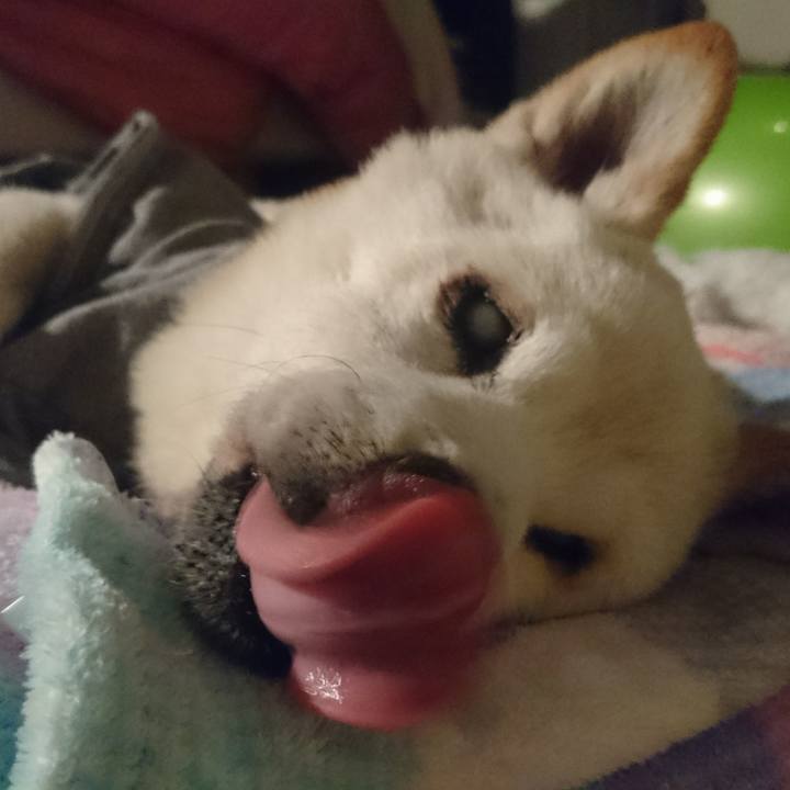 0a6e9b12 96f3 49bc a6c6 b0ca676e0a18 1523806010811