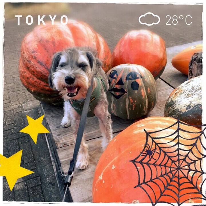 0a6eaf7b 31f7 4cf9 af76 b3f2c6f9d04f 1507797320965