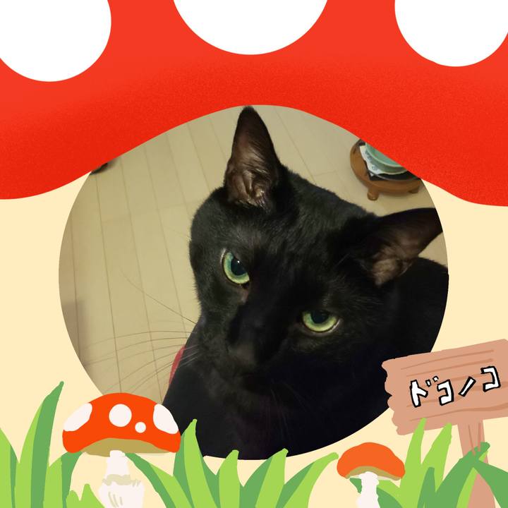 0a6ebcf0 4e08 4ab4 9cf5 8ecf861f5621 1729723082307