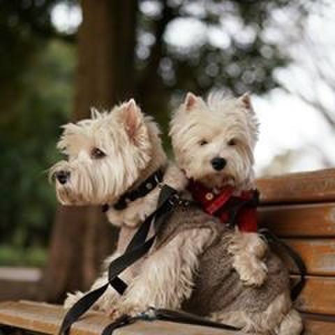 0a6eebd7 dd98 4fb2 9ba9 0529a98037d7 1519086928509