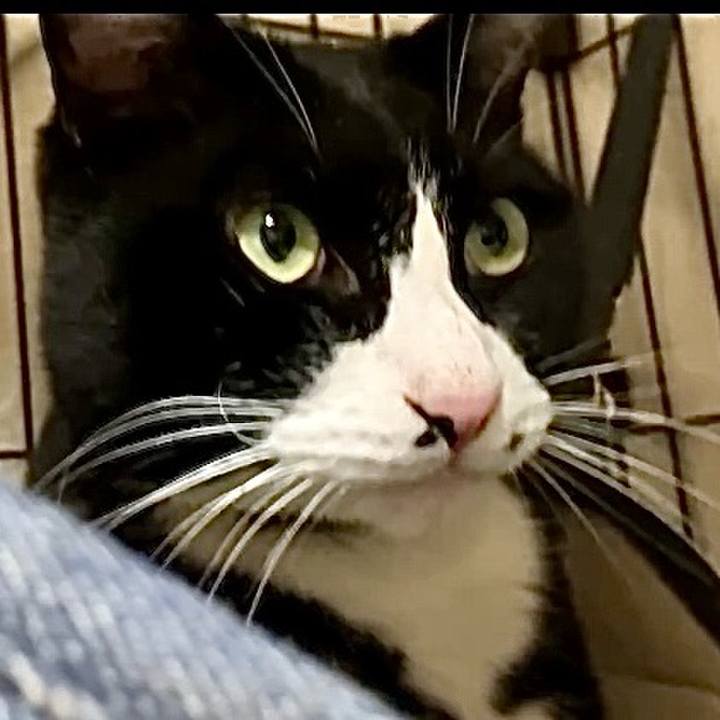 0a6f2500 9e10 437a 8c96 906fbae9dbf9 1736855389344