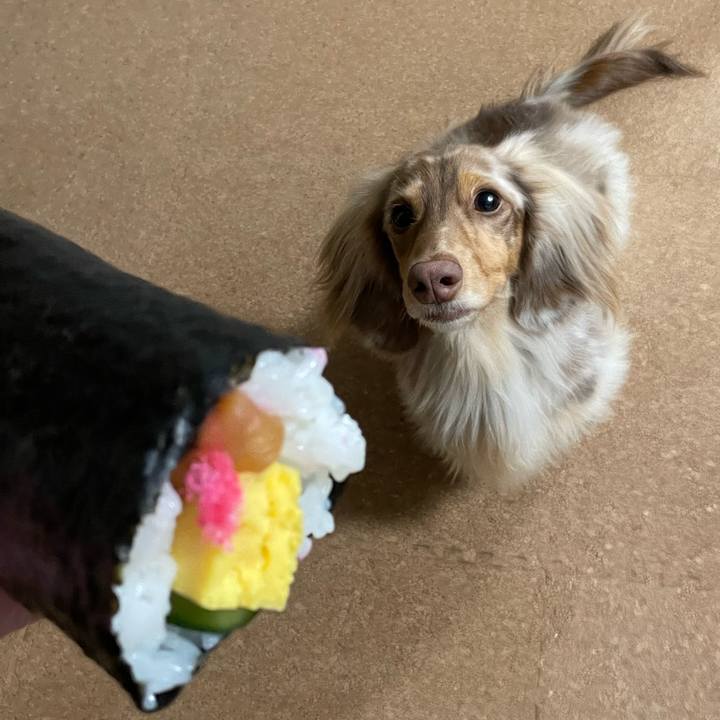 0a6f4367 0461 4df5 9e37 eccd1ca07406 1770115870954