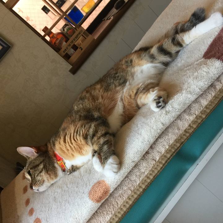 0a6f6ac7 e0d4 4432 9094 640d51f9ff60 1558754805081