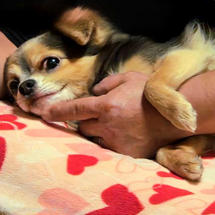 0a6f7b1f 4ca2 4de6 bb52 620516235cee 1771679536463