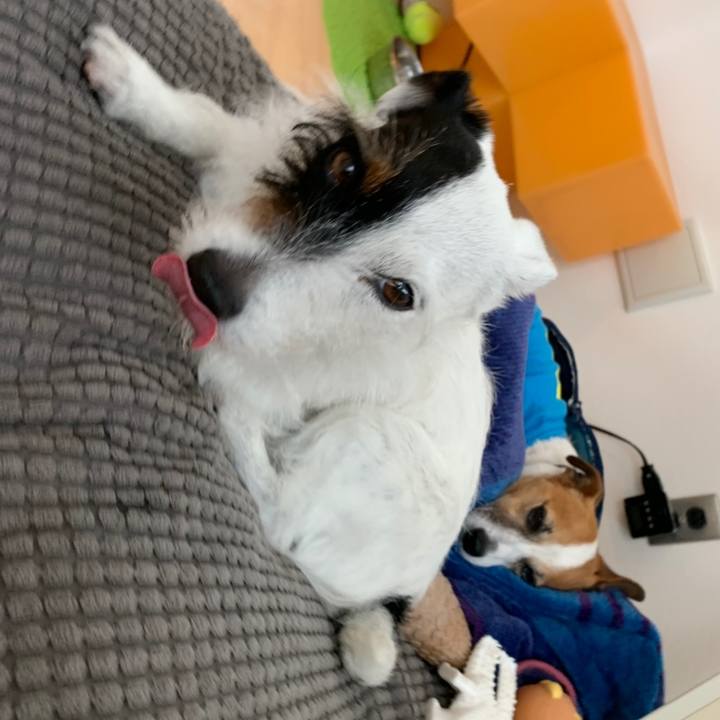 0a6fabf6 ab77 4f21 8291 95be007d4ee9 1558392241657