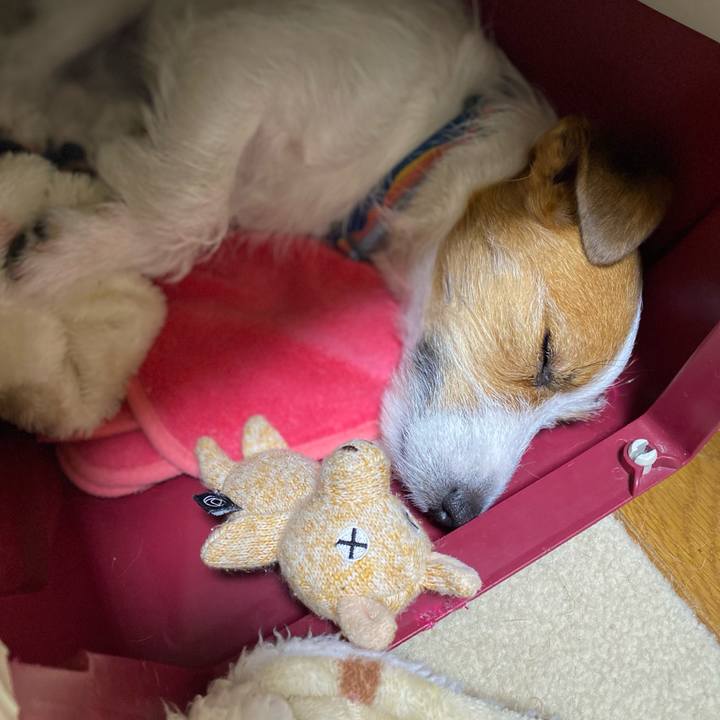 0a6fd870 5b30 40db 8709 75b9a58b76b4 1746370780004