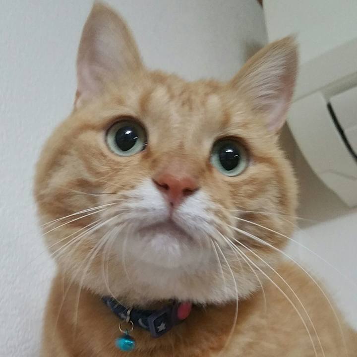 0a6fed1f a399 41a4 8ca1 7a58fefde4be 1571533624142