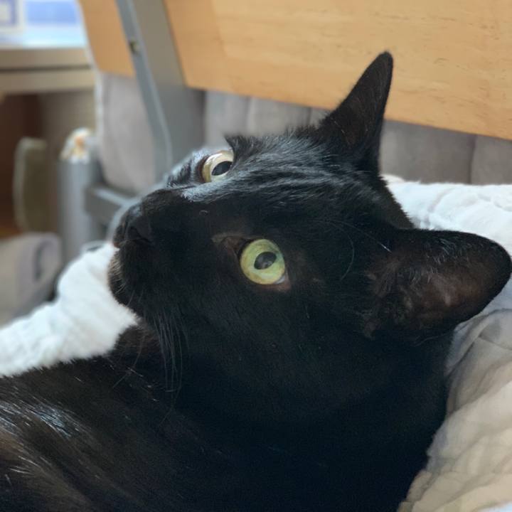 0a7046d7 1136 4f3d 9a6b 64ed7b58f593 1553561361267