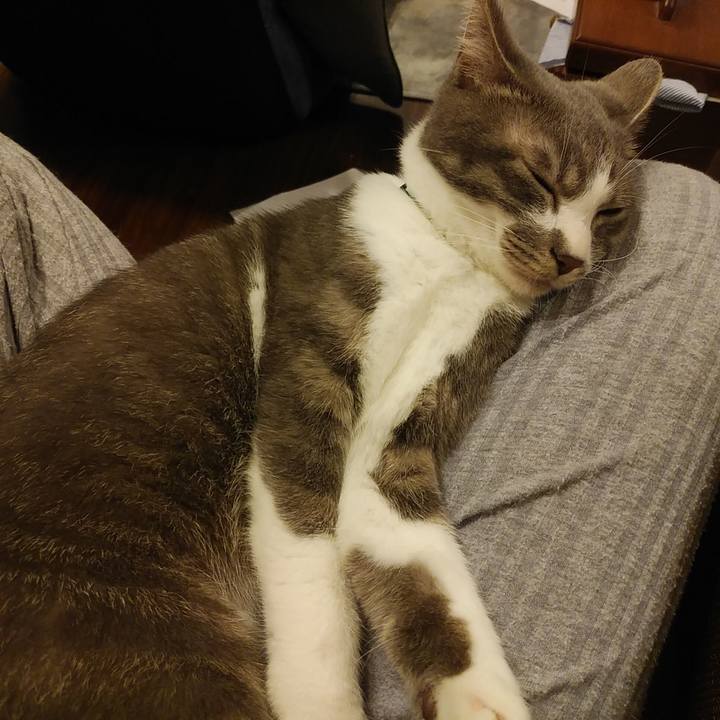 0a70496b 016c 482c ab58 b3bd007d659b 1590150718546