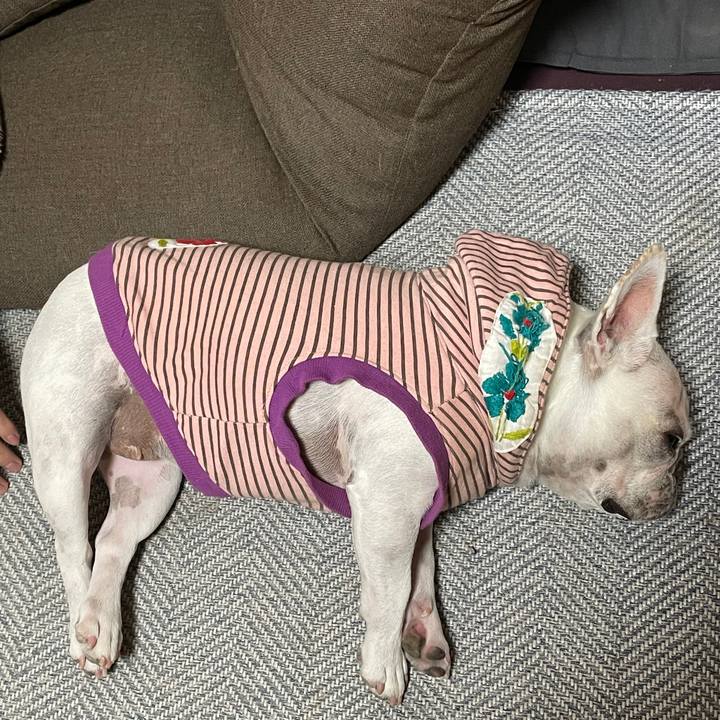 0a70520a 31d1 4c9d 9fb2 19b601914653 1732141472987