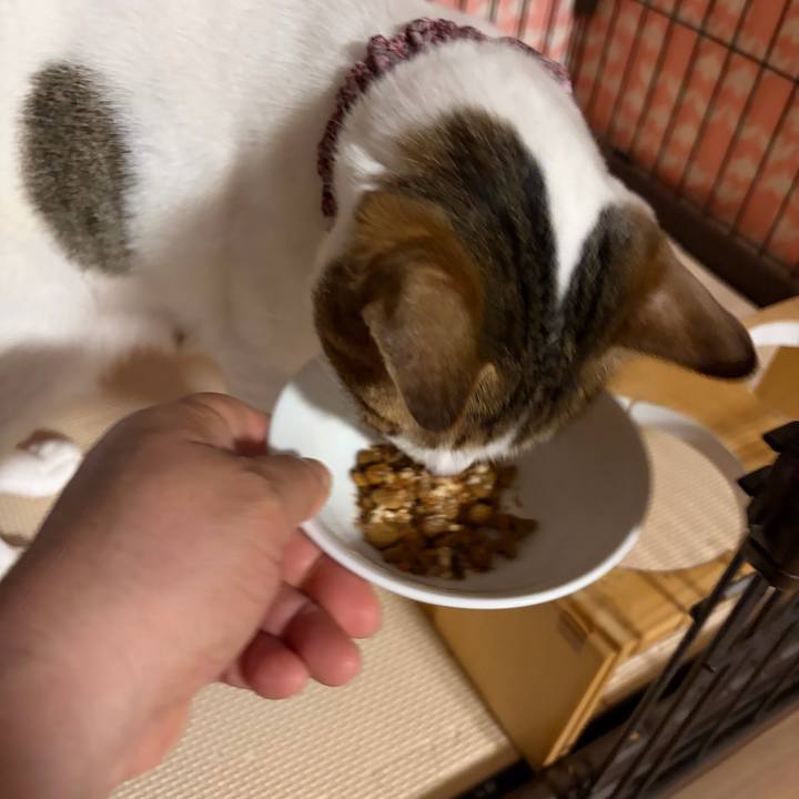 0a705be4 aed9 4665 a01c 35dad08b76ff 1775946870479