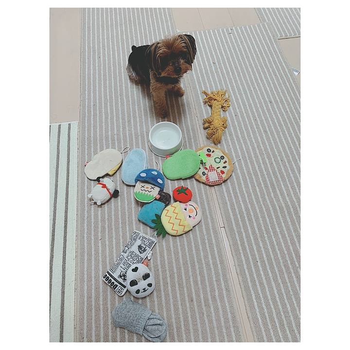 0a709364 9f2d 459a b272 a6ff17684d7d 1589582311774