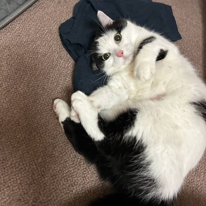 0a70c66b 522a 4cb9 a710 0d8308d29b8a 1767657498637