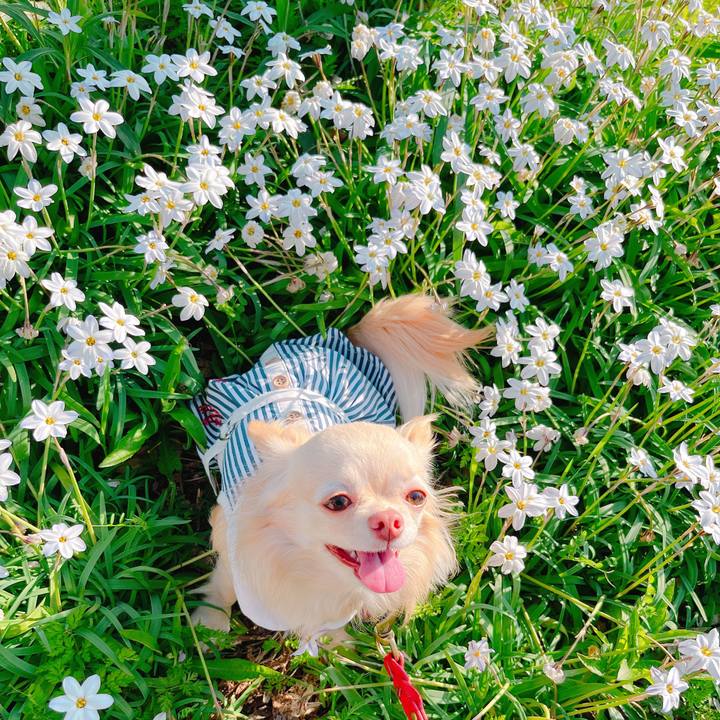 0a70f9e6 884f 4445 843d f0dc16dbb0ac 1649491195050