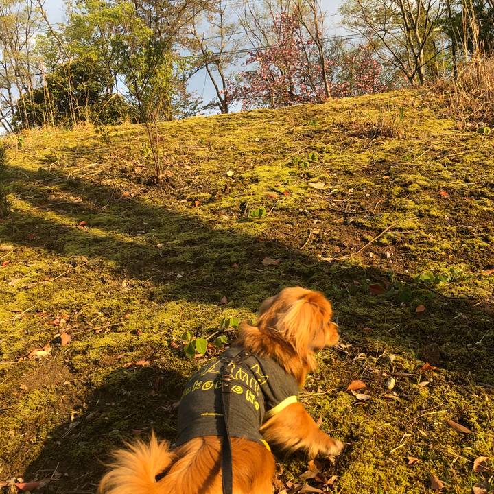 0a71185a 6e59 4289 b878 d21e22894626 1523141662721