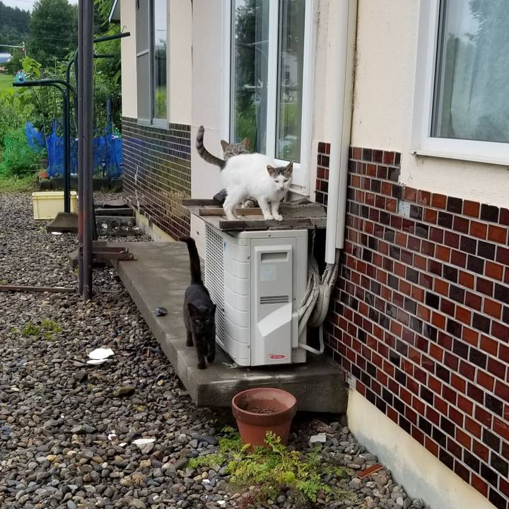 0a71489d 9ba1 4580 b34a f487faf91e11 1691309376287