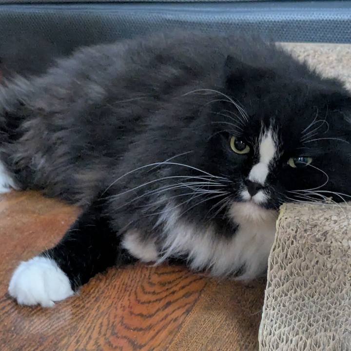 0a714bdd 3929 42cd 8ce7 95271b3037f5 1752535195717