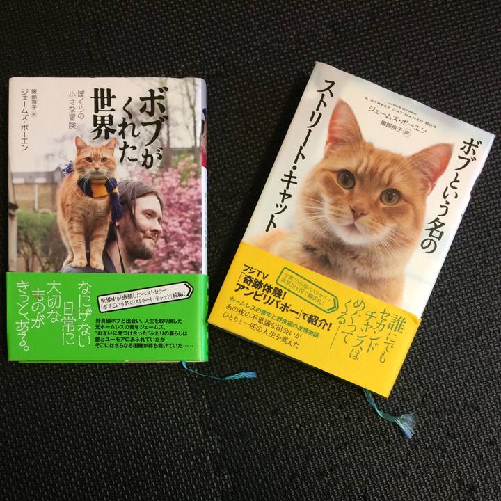 0a7180d8 a453 4ef4 9fb0 6b08de3ca1db 1592521427271