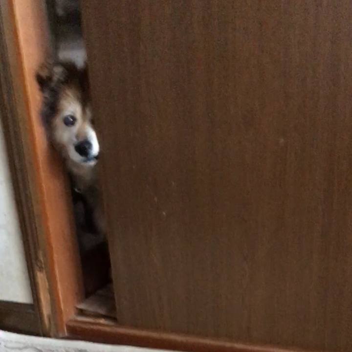 0a719321 eba9 4557 986f 90e21d0fe5a8 1581507626271