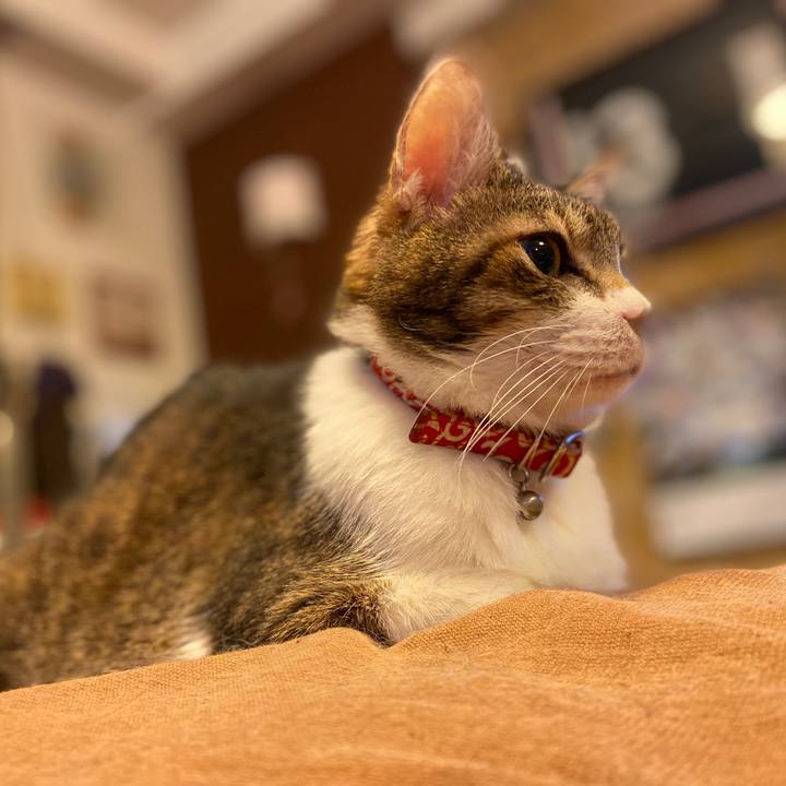 0a71d10f dc4d 4537 89ed 810da93dae3a 1577644363484