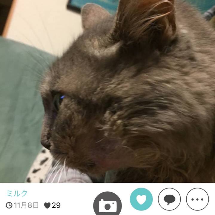 0a71f3c5 c8cd 4d3c bd3f 9a8e09cccf36 1511691162602