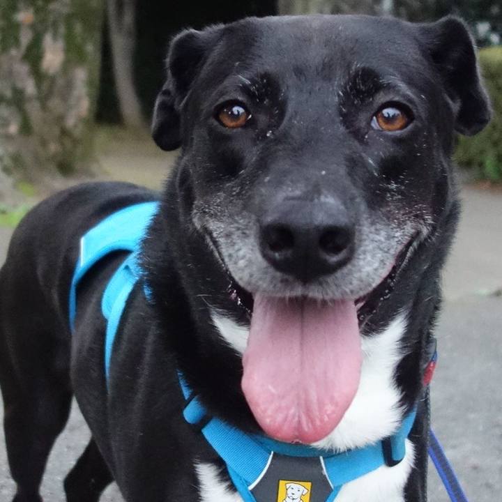 0a71fedb 6f63 45b7 9101 f05f0a7c4d34 1688553955291