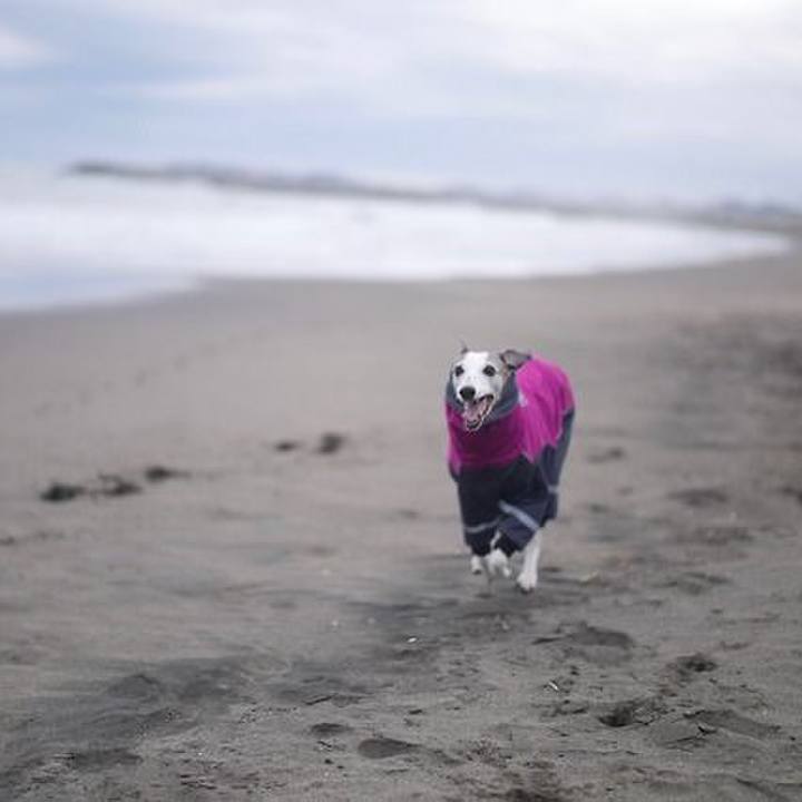 0a71ffe5 b0e6 41c3 be88 d421dcda7b05 1517305474453