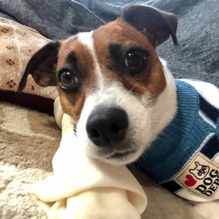 0a720707 9064 4d61 ae88 5ac79189a464 1598052354621