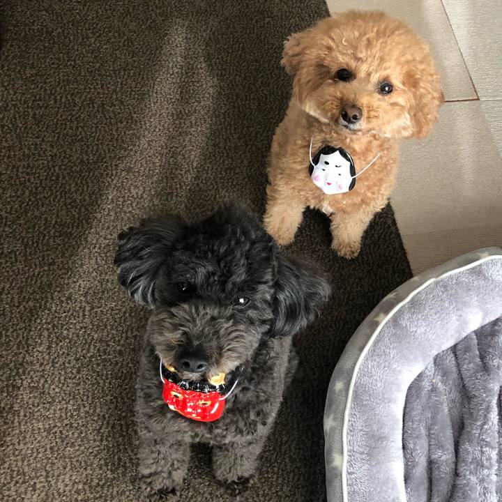 0a720e93 0ab2 4c48 9eac b22779853234 1612260338951