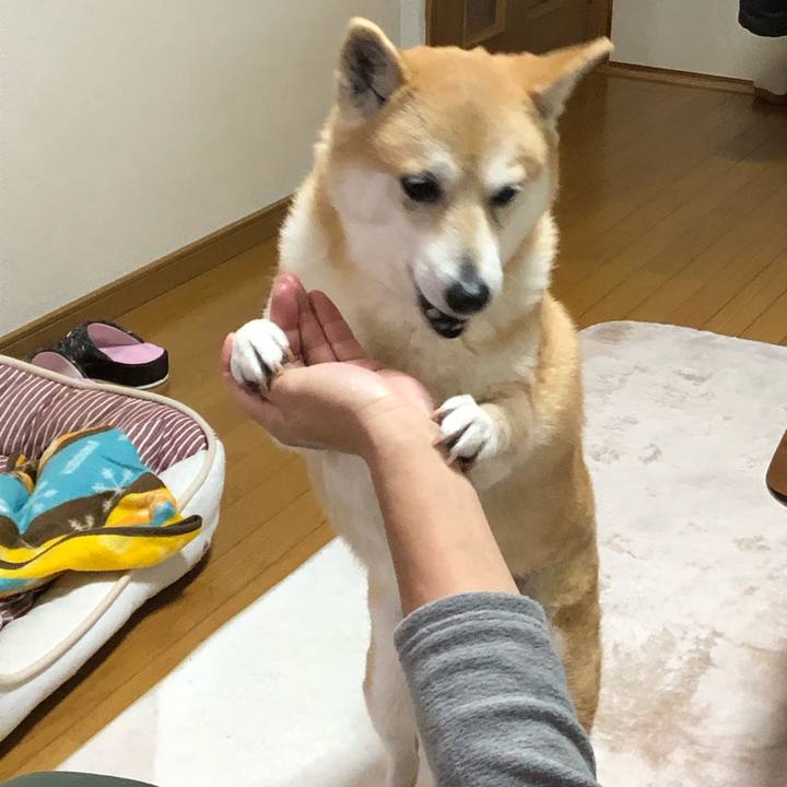 0a72251c 0a48 4f08 b3e7 1d7e8373c344 1584712663263