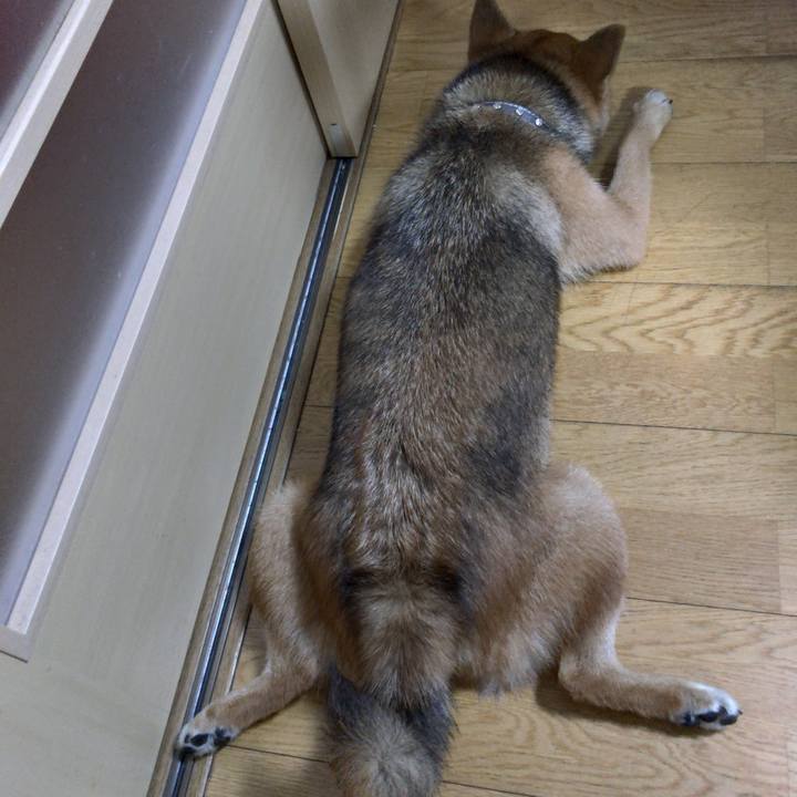 0a7247ab c323 419c a6cc 7bf8bc3e8a3d 1535022356325