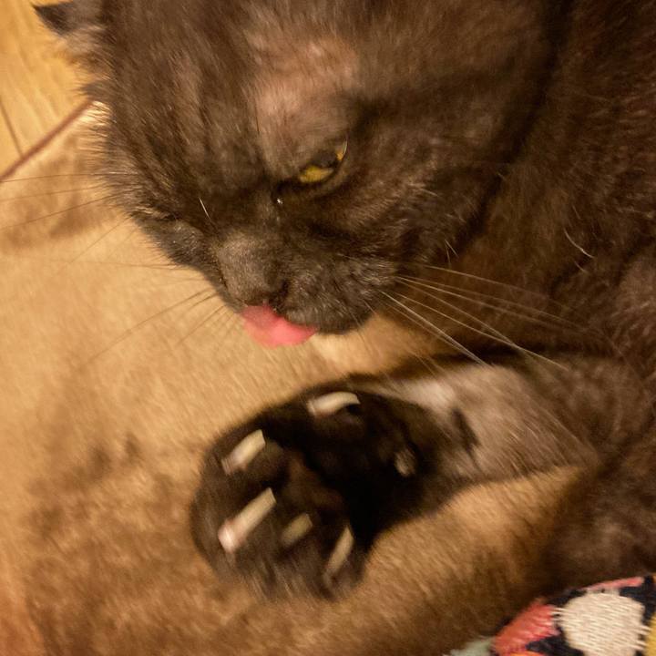 0a726500 067a 46d1 bce7 829fdffd5f42 1589470320498