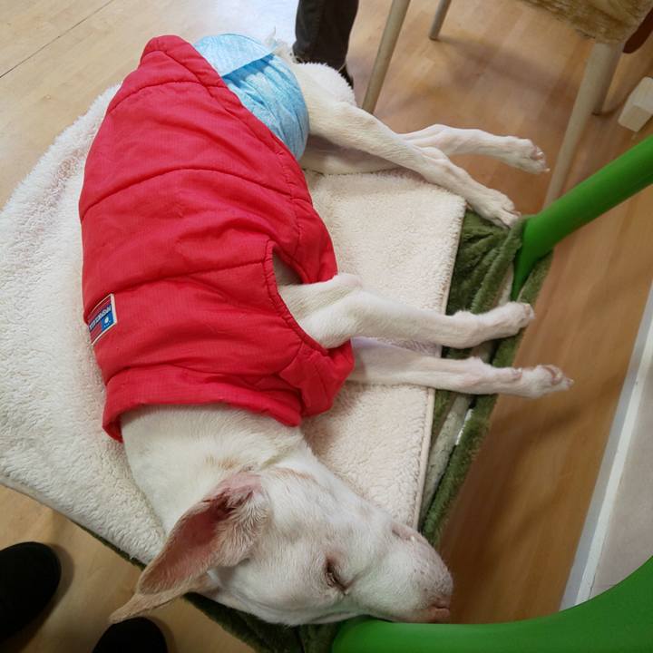 0a727bd0 8d7a 44fa 9204 f920f56bb981 1610767189923